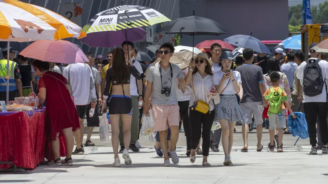 关于热血追逐：车迷与车手的亲密互动的信息