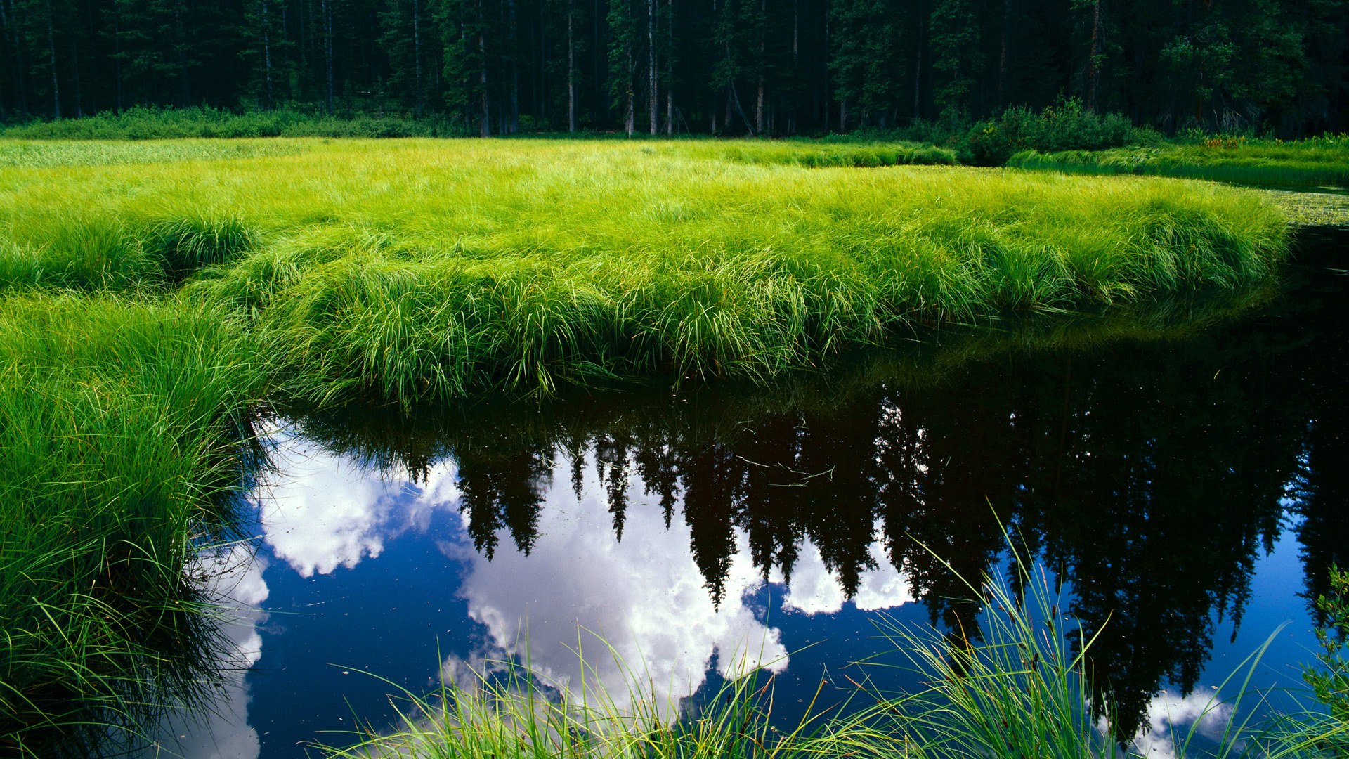 拜仁慕尼黑主场3-2逆转美因茨，艰难取胜，拜仁慕尼黑 阵型