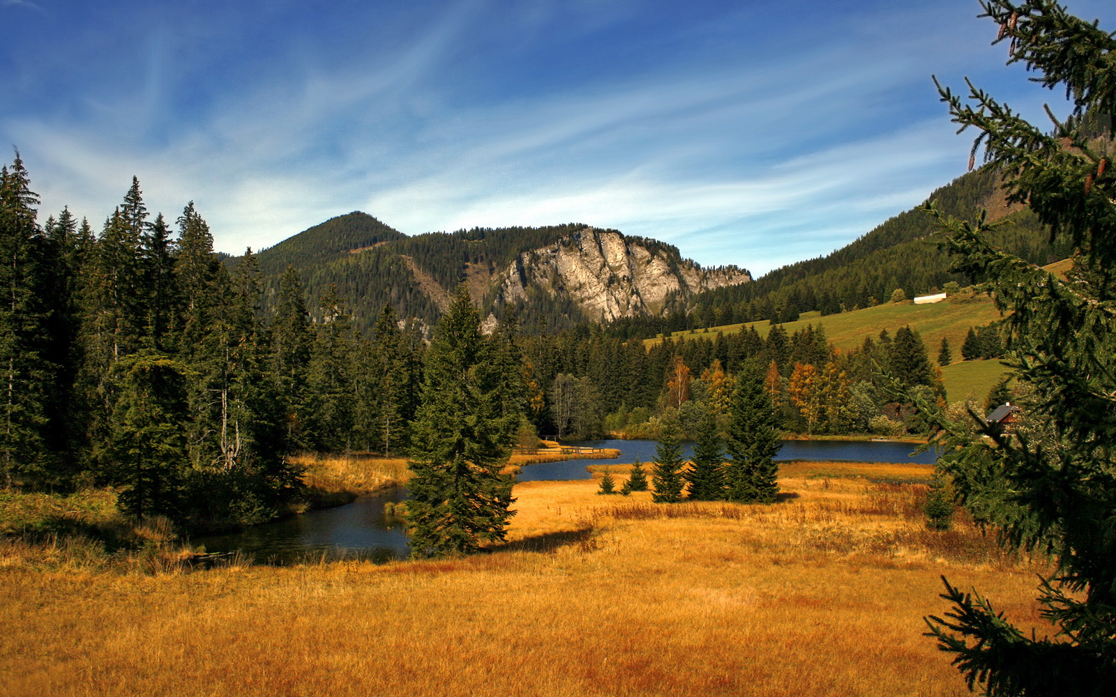 拉尔维楼造点传威，佛罗伦萨球员表现亮眼，佛罗伦萨对拉齐奥聚胜顽球汇