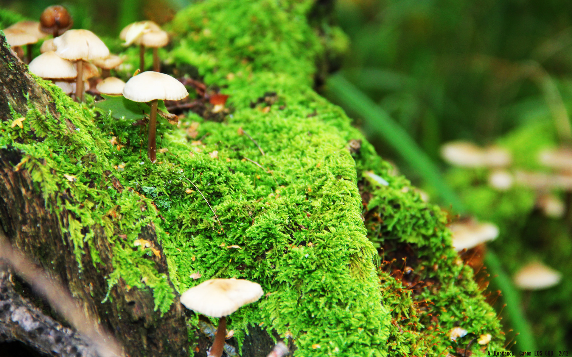 乐鱼体育官方入口-中国女篮快速适应国际比赛规则变化，中国女篮赛制