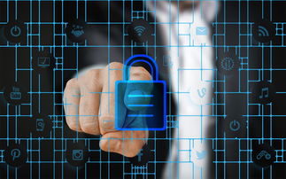 乐鱼体育平台官网-马术运动进校园课程体系初步建立，马术走进校园合作方案