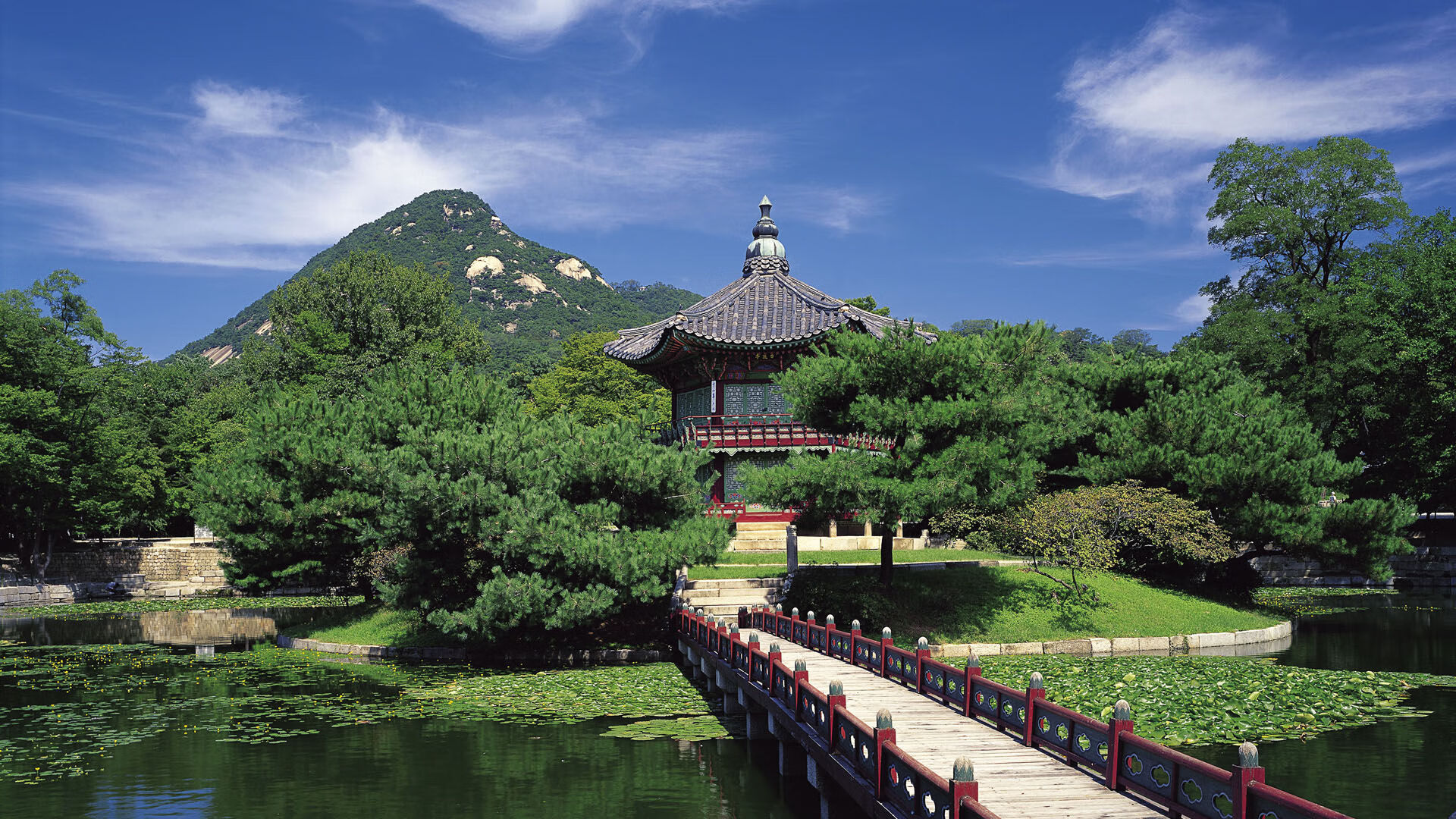 欧洲杯绝美瞬间：战术配合带来的视觉盛宴，欧洲杯详解