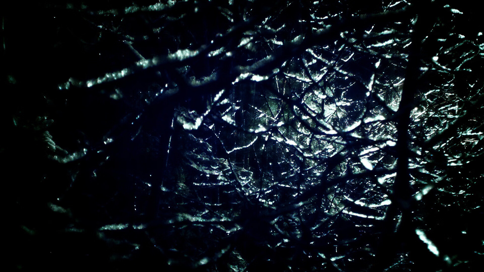 职业教练赴海外深造学习前沿训练理念带回创新方法