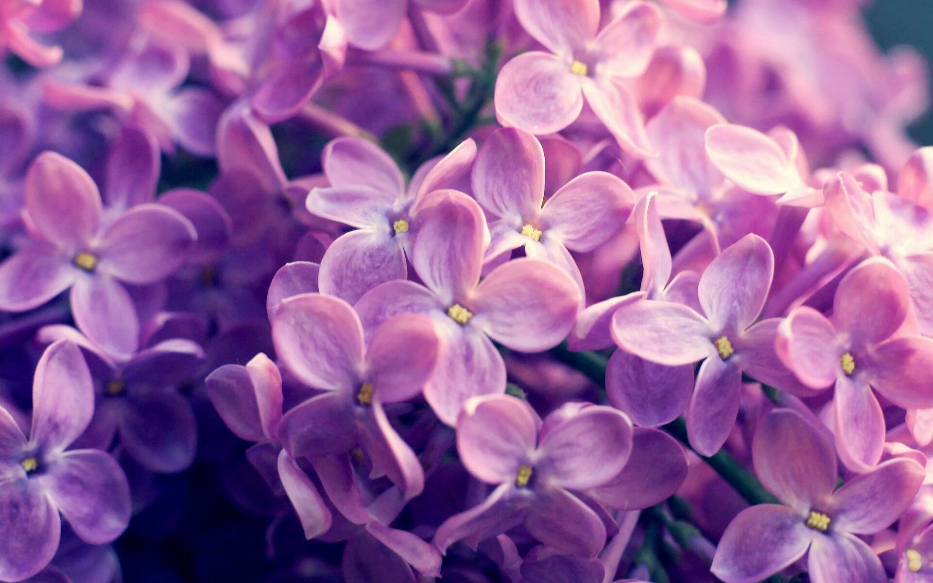 跨界合作推出足球题材的数字藏品，引领体育文化潮流，足球收藏品